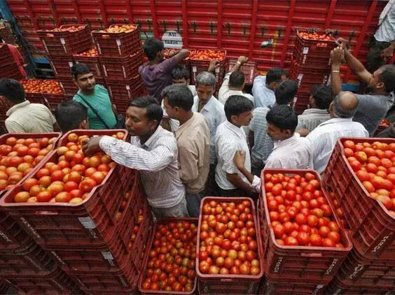 On the third day of Navratri, the price of tomatoes increased by Rs 20 in 24 hours