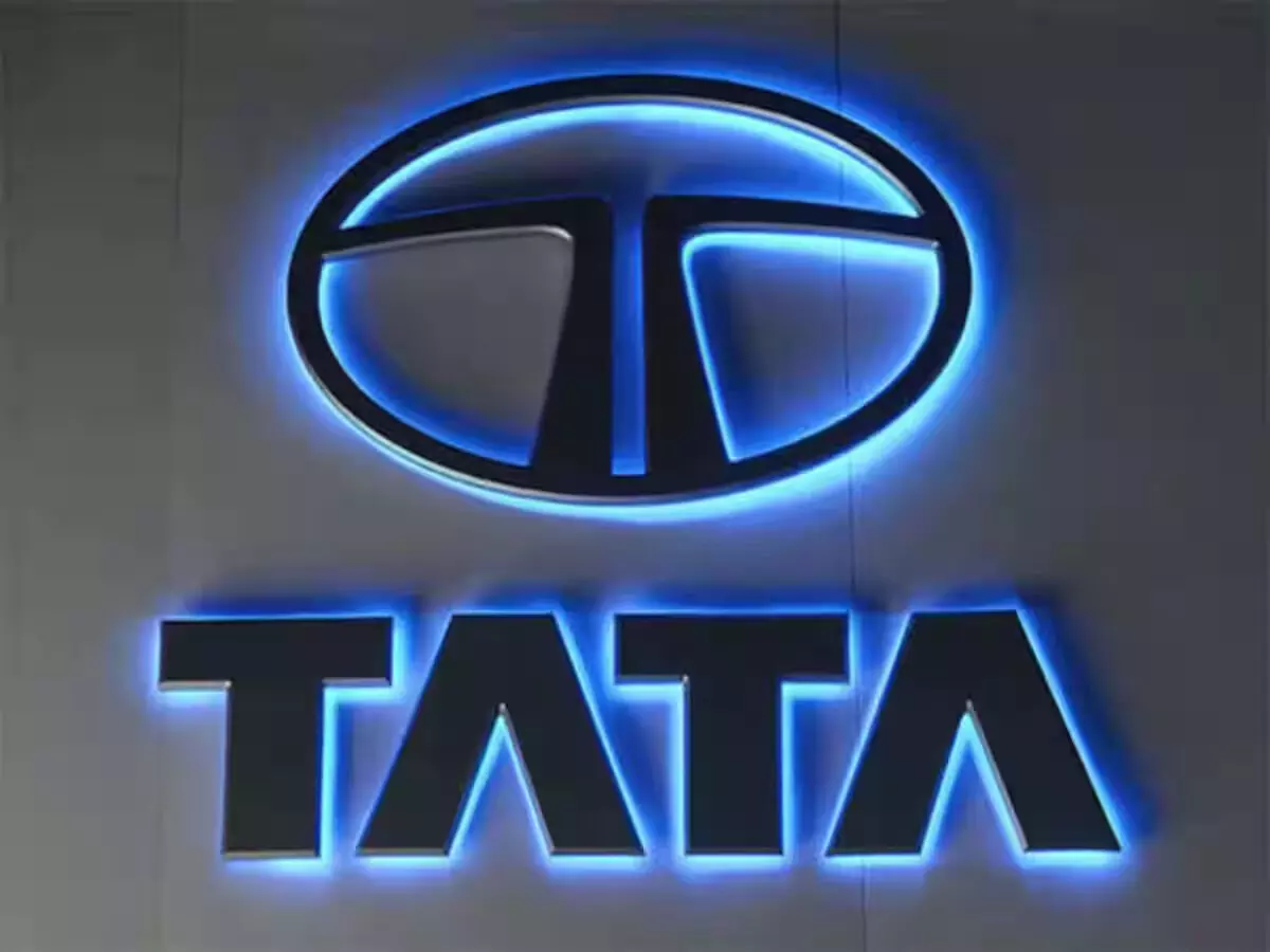 These companies of Tata Group gave good returns in 2024