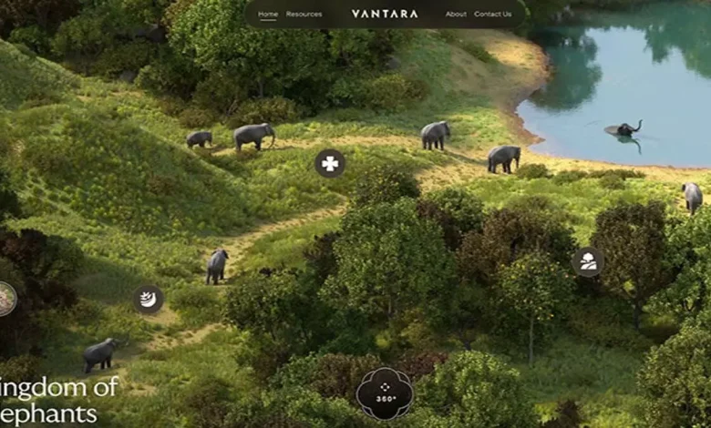 Vanatara prepares for the future in wildlife rescue and conservation