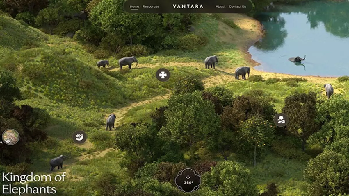 Vanatara prepares for the future in wildlife rescue and conservation