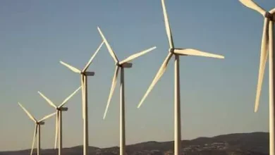 Japan considers new policies for offshore wind farm sector