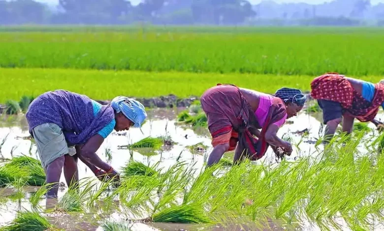 Agriculture: Facing challenges and embracing opportunities