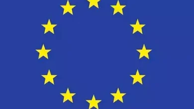 EU bans export of poultry products to Brazil due to bird flu