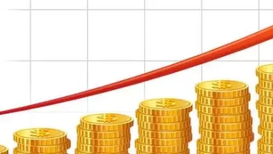 South Africa's economy grows marginally