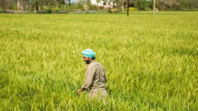 Monsoon, income and incentives are boosting India's rural consumption