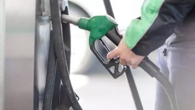 E20 petrol maintains fuel efficiency, improves engine performance: Petroleum Ministry