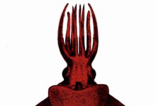 CMFRI scientists discover rare deep-sea 'octopus squid' in Arabian Sea