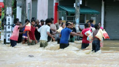 CM Vijayan appeals to Centre for help to Keralites stranded in Sri Lanka
