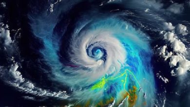 Red alert issued in Tiruvallur, Ranipet in Tamil Nadu; heavy rain expected in several districts