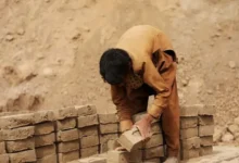 Tripura's Labour Minister has sought help from the Arunachal Pradesh government to rescue 30 child labourers