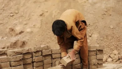 Tripura's Labour Minister has sought help from the Arunachal Pradesh government to rescue 30 child labourers