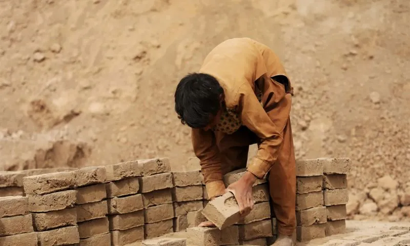 Tripura's Labour Minister has sought help from the Arunachal Pradesh government to rescue 30 child labourers