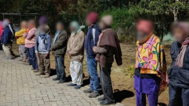 Action taken against illegal infiltration in Assam; 19 people removed after police-BSF operation.