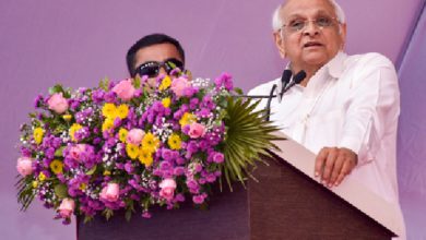 Gujarat will witness the World Meditation Day celebrations today.