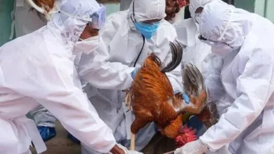 Kerala: Citing the Dileep case, Martin appealed for the cancellation of his sentence.