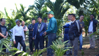 Nagaland: The central team has proposed developing Peren as a betel nut hub