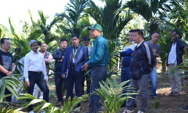 Nagaland: The central team has proposed developing Peren as a betel nut hub