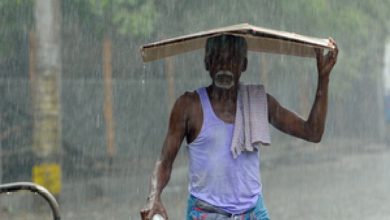 Rain and thunderstorms are forecast for Tamil Nadu and Puducherry for the next two days.