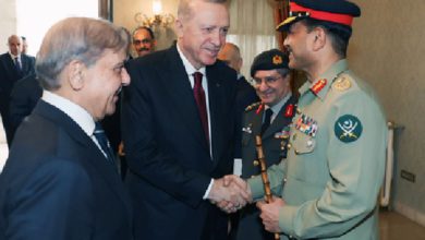 Internal conflict within PML-N, Shahbaz's actions create divisions within the party