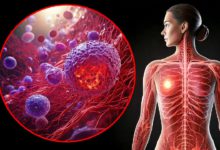 Study finds risk-based approach to breast cancer screening is better