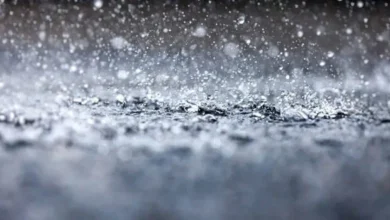 Kerala: Rain warning in three districts including the capital