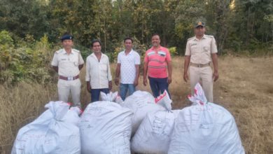Odisha: Over 3 quintals of ganja seized in Boudh, smugglers escape
