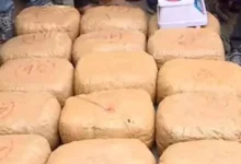 Kerala: Drug racket busted in Thiruvananthapuram, 300 kg of marijuana seized