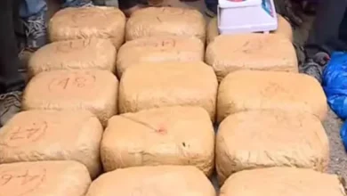 Kerala: Drug racket busted in Thiruvananthapuram, 300 kg of marijuana seized