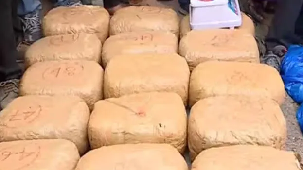 Kerala: Drug racket busted in Thiruvananthapuram, 300 kg of marijuana seized