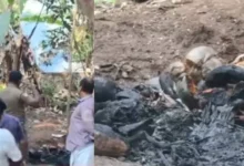 Kerala: Elderly woman sets herself on fire after preparing pyre; condition critical