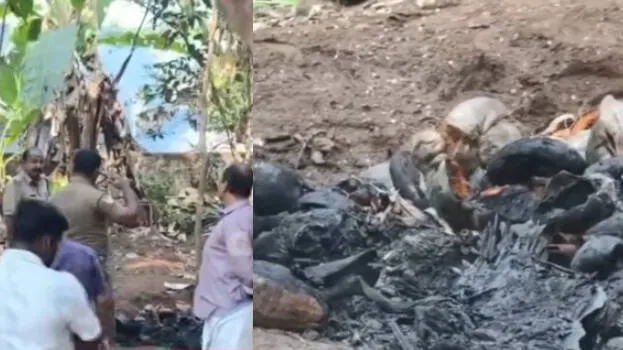 Kerala: Elderly woman sets herself on fire after preparing pyre; condition critical