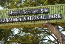 Assam floods: Prohibitory orders imposed on Kaziranga Highway to protect wildlife