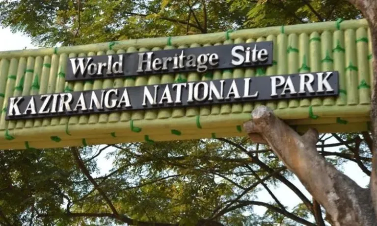 Assam floods: Prohibitory orders imposed on Kaziranga Highway to protect wildlife
