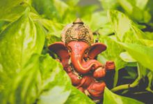 Budhwar Ke Upay: Do this work on Wednesday, Bappa will remove every problem